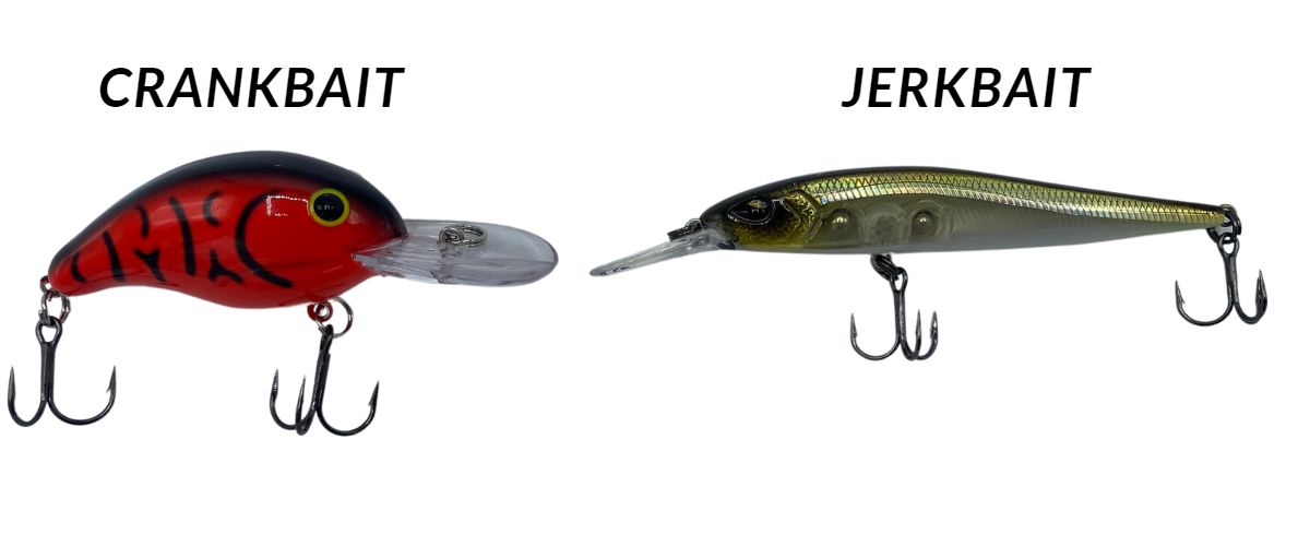 Crankbait Fishing Complete Beginners Guide