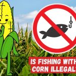 Corn character next to a no fishing sign with field of corn in the background