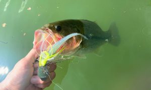 Complete Chatterbait Fishing Guide - Beginner to Advanced
