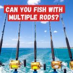 5 fishing rods on boat with water in the background