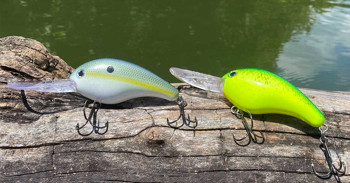 Crankbait Fishing Complete Beginners Guide