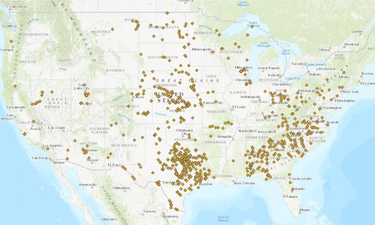 White Bass Species Breakdown